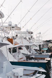 Picture of Boats at a dock